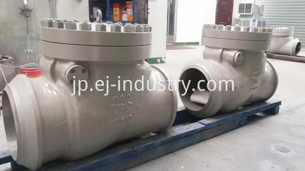 16 600check Valve Jpg